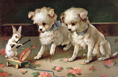 Lapin sur roues rencontre deux amis - English School